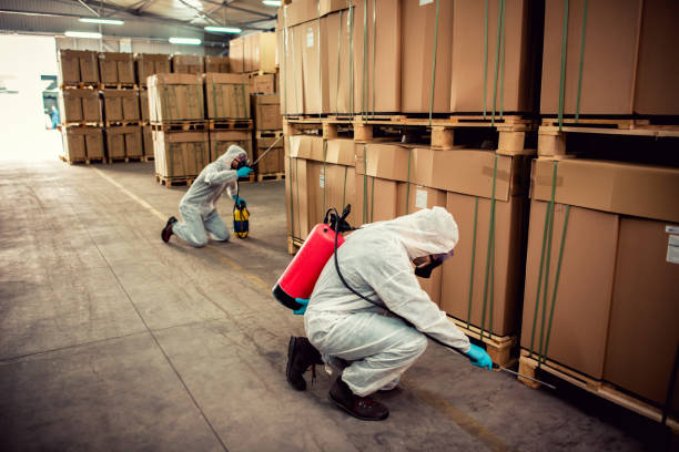 Best Emergency Pest Control  in Springville, VA