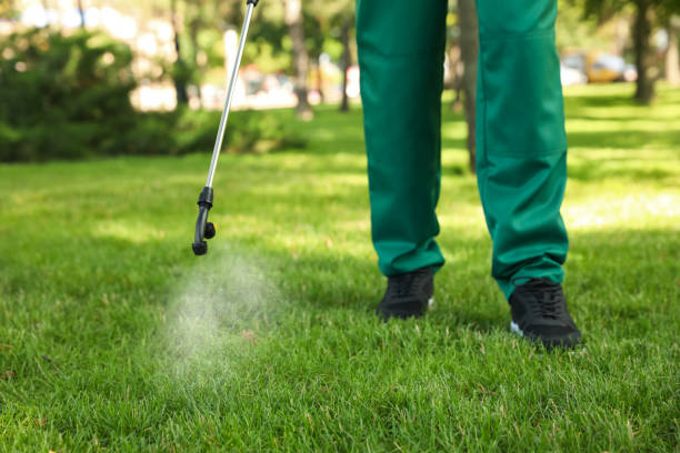 Best Affordable Pest Control Services  in Springville, VA