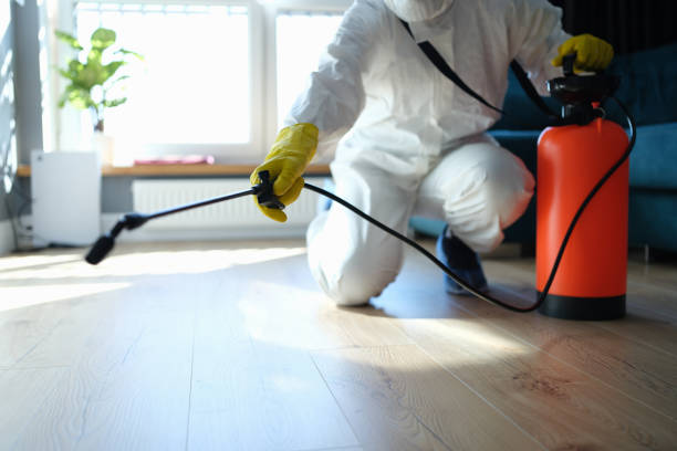 Best Affordable Pest Control Services  in Springville, VA